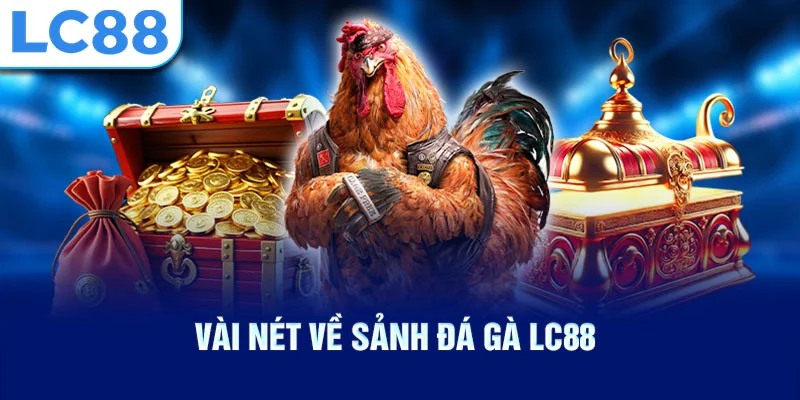 Vài nét về sảnh đá gà lc88